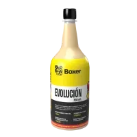 Boxer Evolucion
